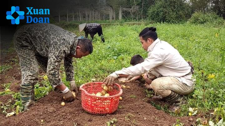 Bài Học Về Nghị Lực Sống Từ